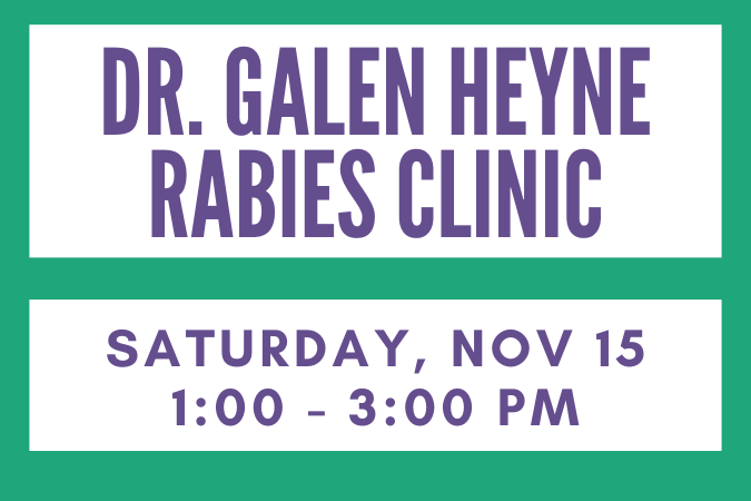 Rabies Clinic Feature (675 x 450 px)