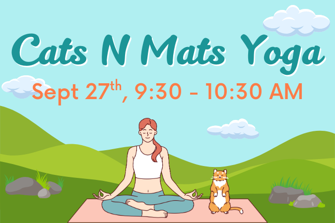 Cats N Mats Yoga feature 9-25