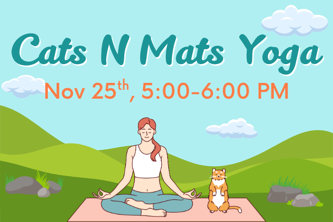 Cats N Mats Yoga feature 11-25-25