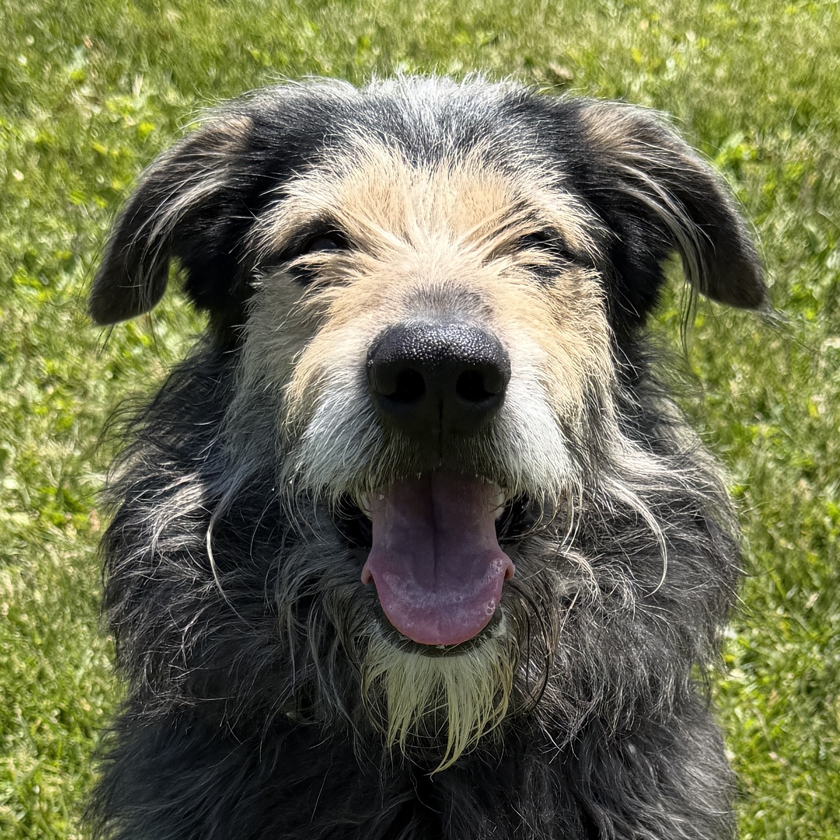 Bernie