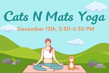 Cats N Mats Yoga feature