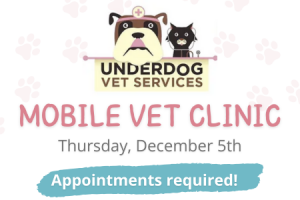 Mobile Vet Clinic Feature 12-5