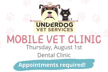 Mobile Vet Clinic Feature 8-1