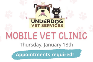 Mobile Vet Clinic Feature (Jan)