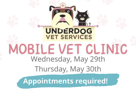 Mobile Vet Clinic Feature May