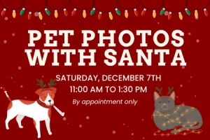 Pet Photos with Santa Feature