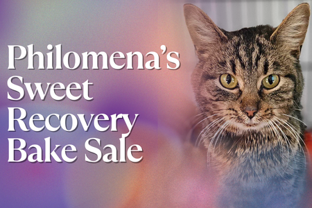 Philomena’s Sweet Recovery Bake Sale (450 x 300 px)