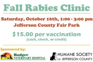 fall-rabies-clinic-feature10-21