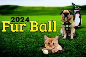 fur ball feature 2024