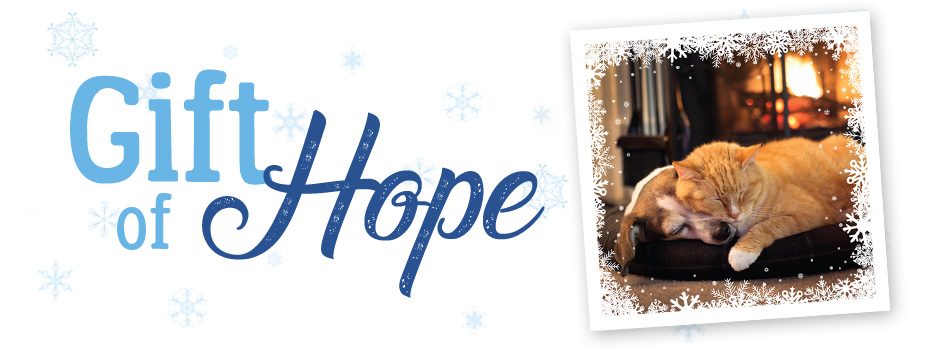 gift-of-hope-site-title