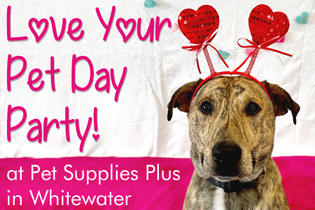 Upcoming Events Love Your Pet Day Party Humane Society of