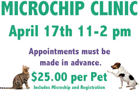 microchip-feature-4-21