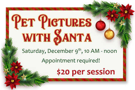 pet pictures with santa feature