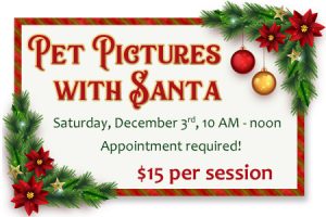 pet-pictures-with-santa-feature