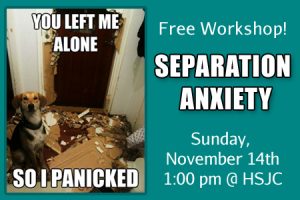 separation-anxiety-feature-nov