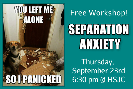 separation-anxiety-feature-sept