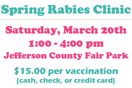 spring-rabies-clinic-feature